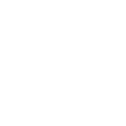 Snowbunny Guides